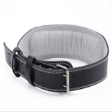 Sports belts for men and women - WOMONA.COM