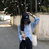 Long Sleeve White Shirt Women's Blouse Chiffon Professional - WOMONA.COM