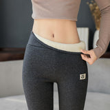 cashmere Leggings - WOMONA.COM