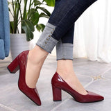 Thick Heel Pointed High Heels - WOMONA.COM