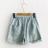 Thin Embroidery Cartoon Shorts - WOMONA.COM