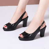 Thick With Versatile - WOMONA.COM