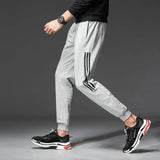 Three-bar cotton sweatpants - WOMONA.COM