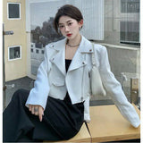 Small Long-sleeved Top - WOMONA.COM