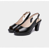 Thick With Versatile - WOMONA.COM