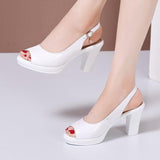 Thick With Versatile - WOMONA.COM