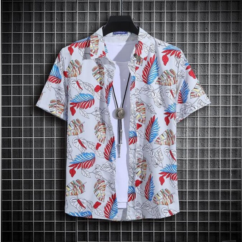 bd2af555e80feaf26bf5146f9682234b