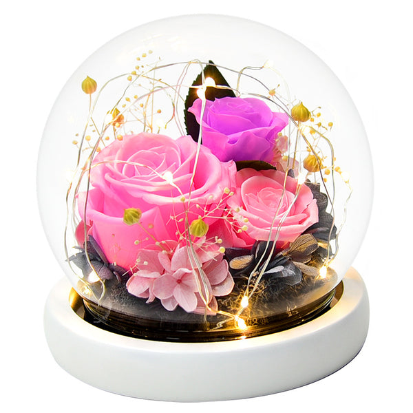 Eternal Flower Rose Glass Cover Gift Box - WOMONA.COM