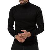 New High-elastic Turtleneck Knitted Cashmere Sweater - WOMONA.COM