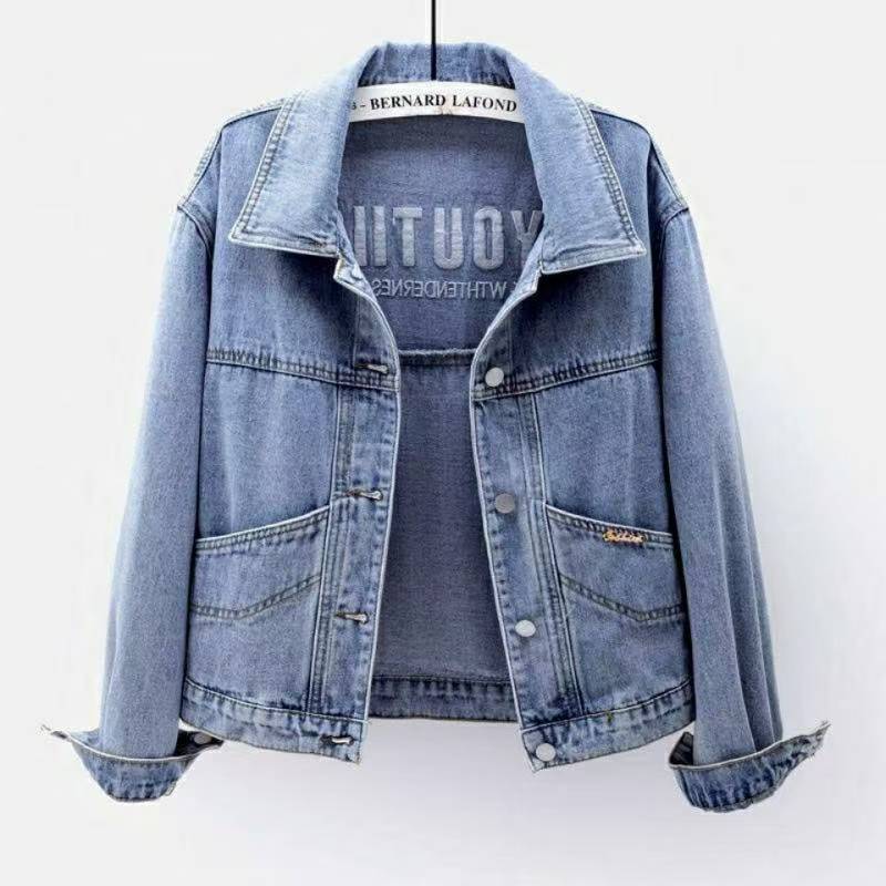 Loose Embroidered Short Denim-Style Jacket