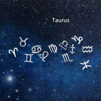 12 constellation simple wishing earrings - WOMONA.COM