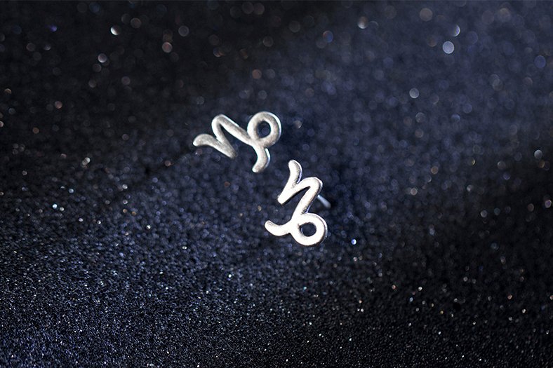 12 constellation simple wishing earrings - WOMONA.COM