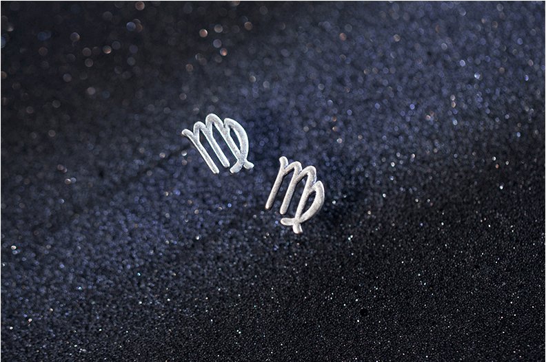 12 constellation simple wishing earrings - WOMONA.COM