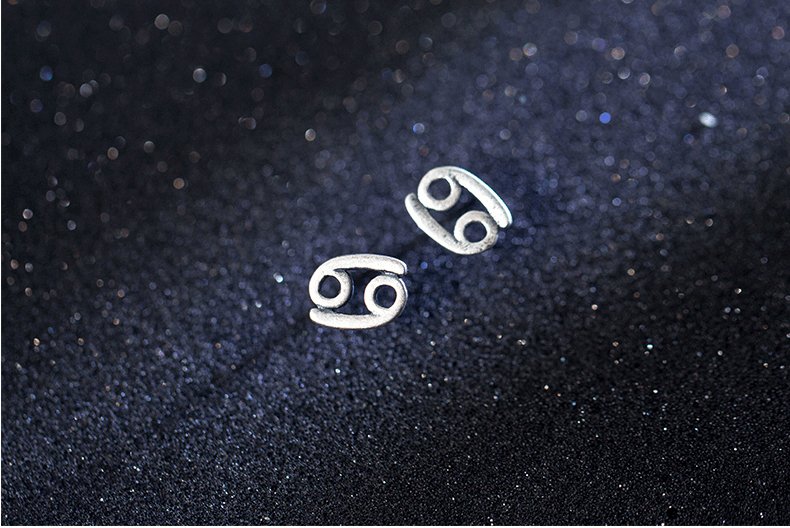 12 constellation simple wishing earrings - WOMONA.COM