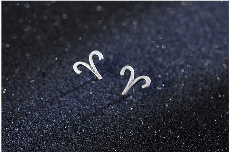 12 constellation simple wishing earrings - WOMONA.COM