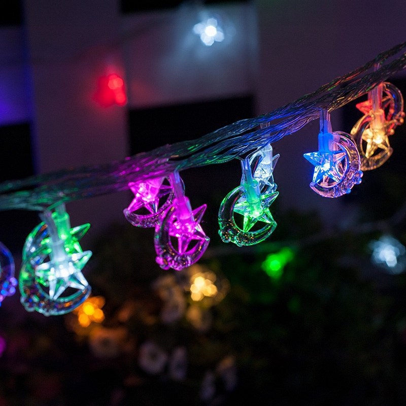 Garden Decoration Christmas Lights LED Battery Lights - WOMONA.COM