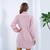 Leisure Clinch Turtleneck Long Sleeve Base Sweater Dress - WOMONA.COM