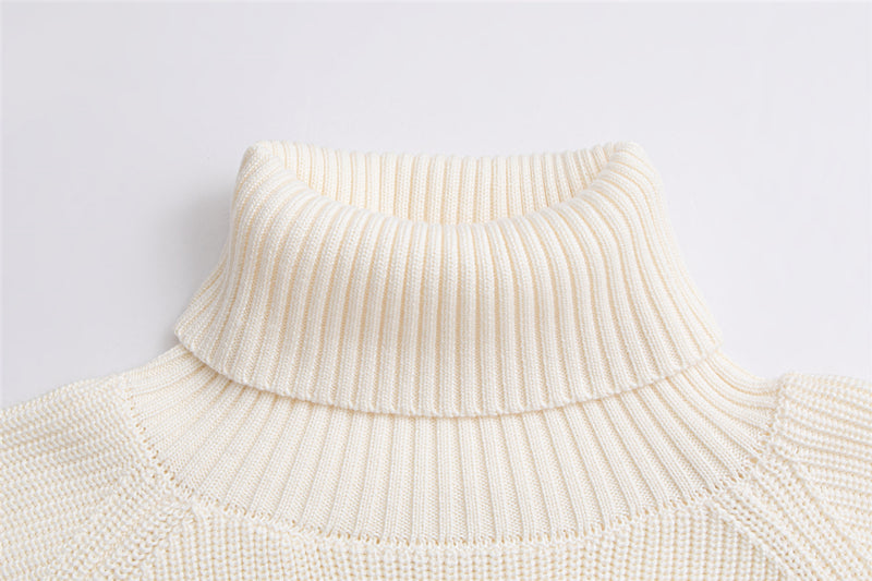 Turtleneck Korean Loose Lazy Pullover Sweater - WOMONA.COM