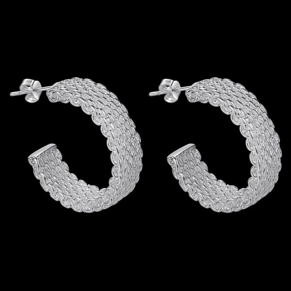 925 silver plated mesh earrings female - WOMONA.COM