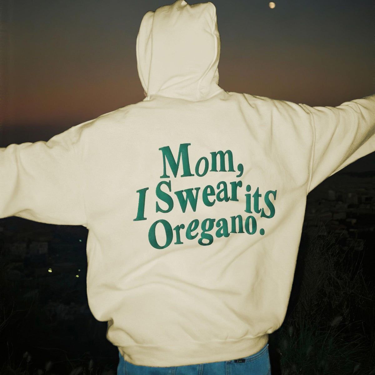 New Hoodie Men's And Women's Brushed Hoody Letter Printing - WOMONA.COM