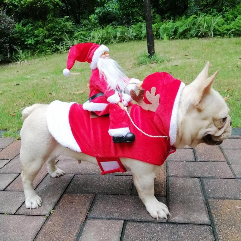 Santa riding outfit - WOMONA.COM