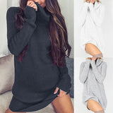 NEW Winter sweaters women turtlene shirt knit dress - WOMONA.COM