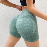 Fitness Yoga Shorts Pants Butt Lifting Seamless Leggings - WOMONA.COM