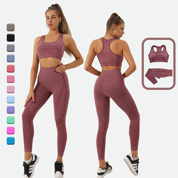 2PCS Seamless Yoga Set Women Tracksuit High Waist Leggings - WOMONA.COM