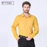 Commute Minimalist Business Professional Non-ironing Stretch Shirt Long Sleeve Men's High Sense