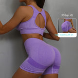 2pc Sports Fitness Yoga Suit