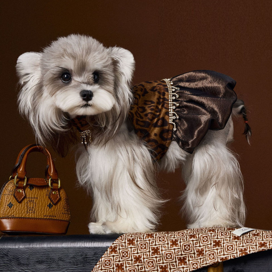 Leopard print dog dress with dark satin skirt, gold bead trim, bow back