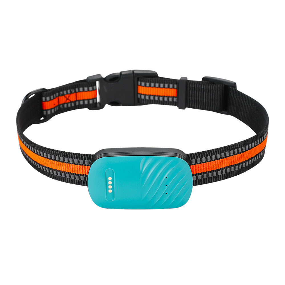 Blue GPS pet collar locator module on black-and-orange striped adjustable dog collar