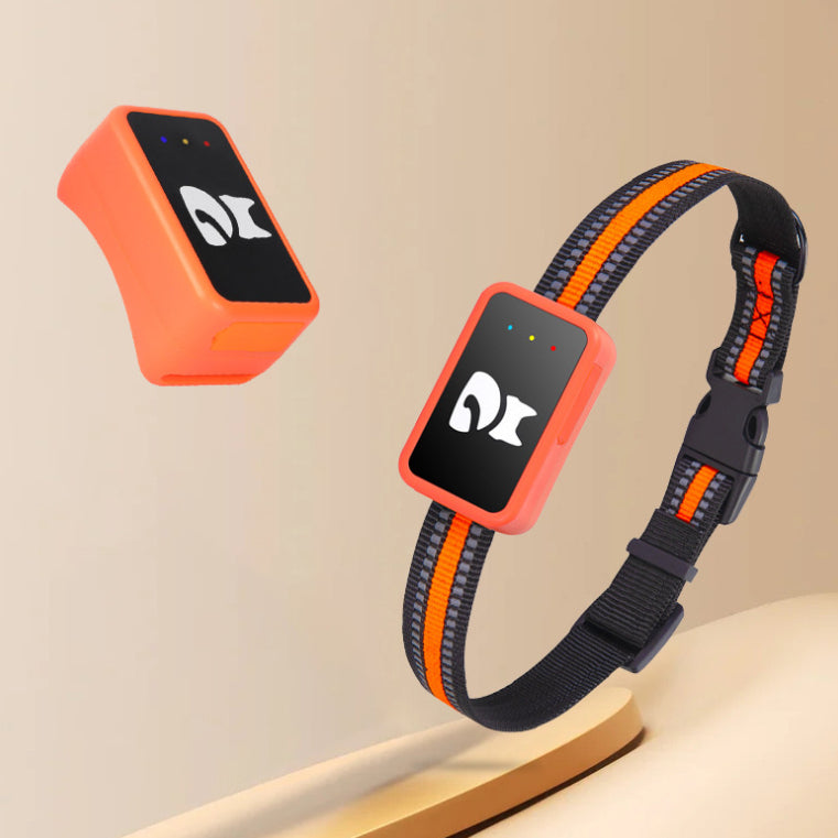 Orange and black GPS pet tracker on black-and-orange striped collar strap