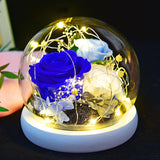 Eternal Flower Rose Glass Cover Gift Box - WOMONA.COM