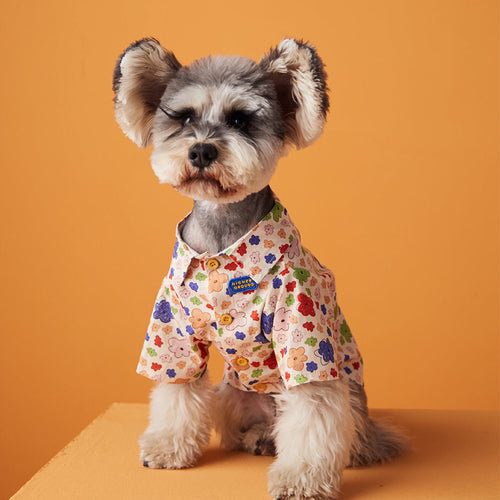 Lightweight dog dress shirt in cream with multicolor floral print and button front