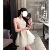 Puff Mesh Stitching Pearlescent Dress