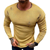 Men's Summer New Ripped Sweater - WOMONA.COM