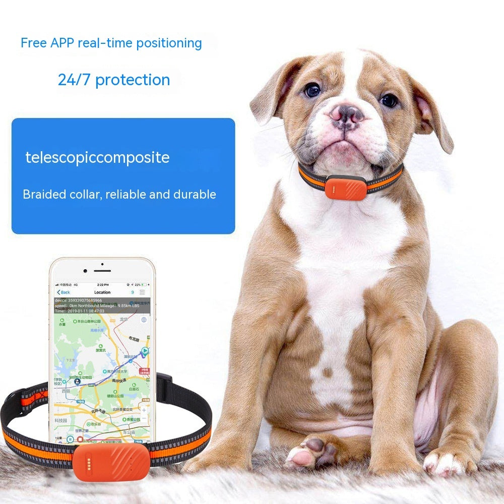 Dog wearing black braided GPS pet collar with orange locator module and adjustable buckle