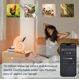 Conch Smart RGB Atmosphere Light Bluetooth Speaker Alarm Wake-up Lamp - WOMONA.COM