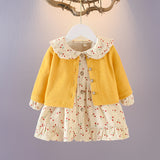 Baby Girl Autumn Clothing Suit