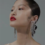 Luxury Silver Personalized Fashion Tassel Earrings - WOMONA.COM