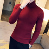 Slimming Solid Color Light Board Turtleneck Long Sleeve Sweater