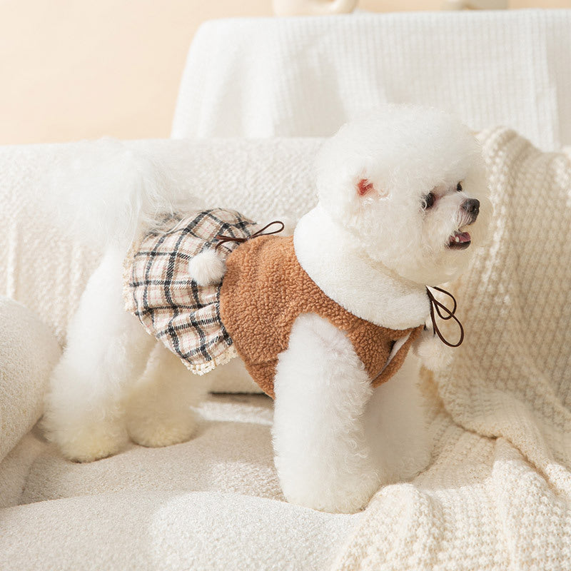Small dog wearing brown plush pet dress with checkered skirt and bow ties