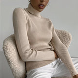 Strip Knit Pullover Turtleneck Sweater - WOMONA.COM